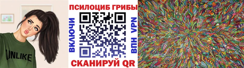 Галлюциногенные грибы Cubensis  Нефтекамск 